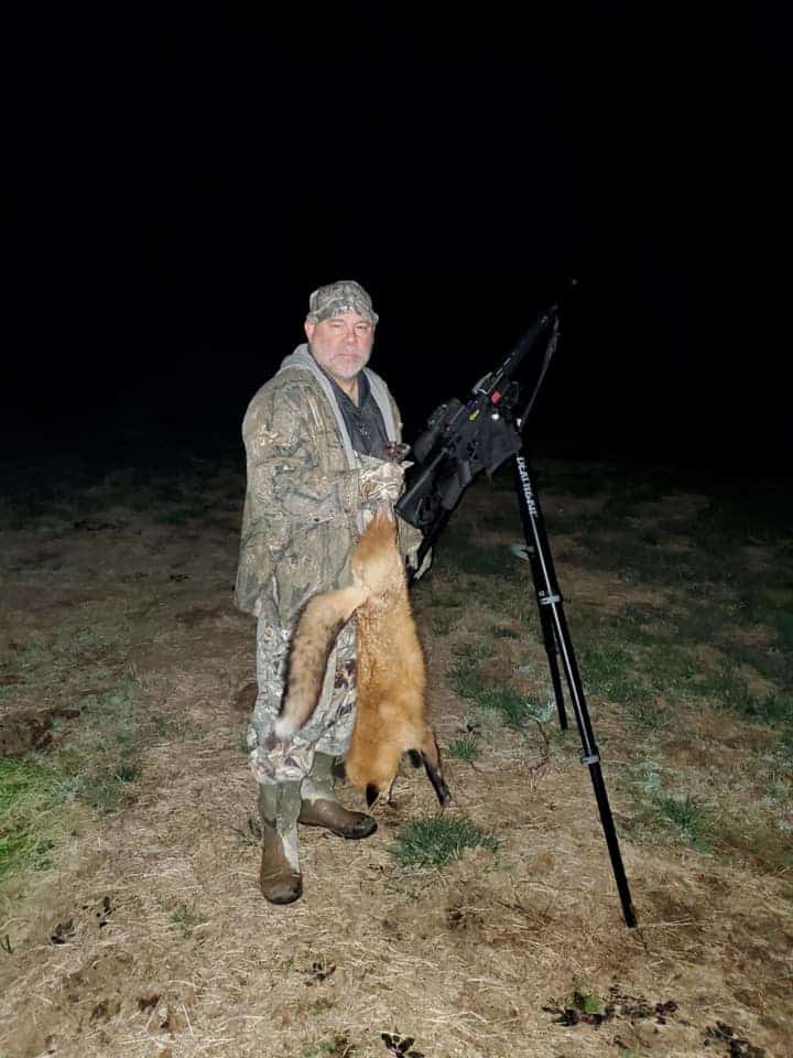 Fox calling, fox hunting