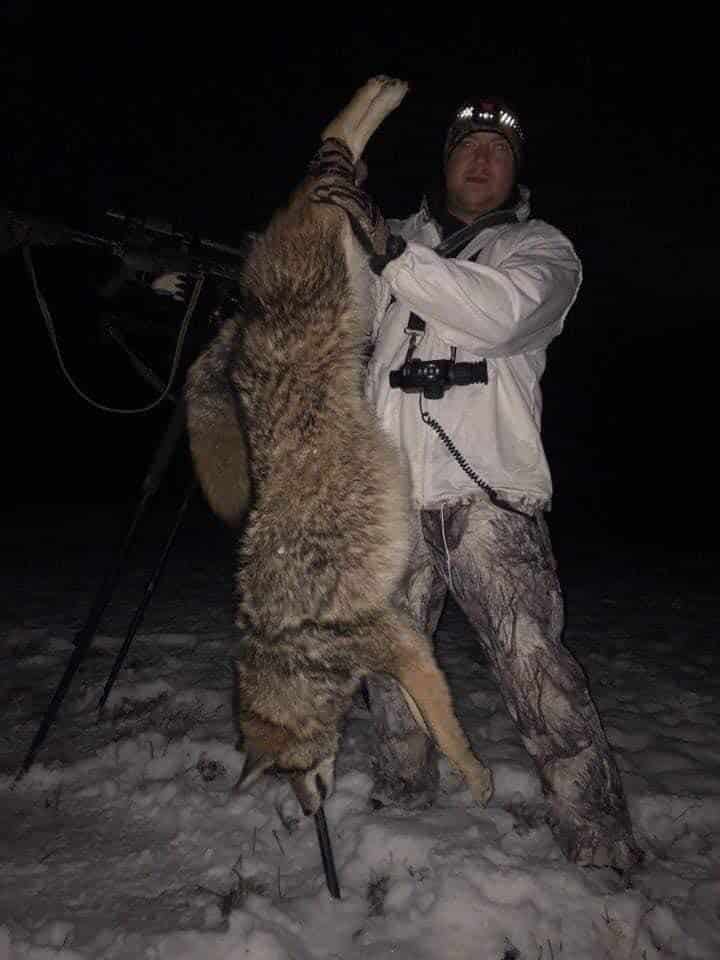 Hunting predators in bad weather