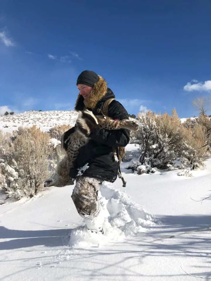 Hunting predators in snow