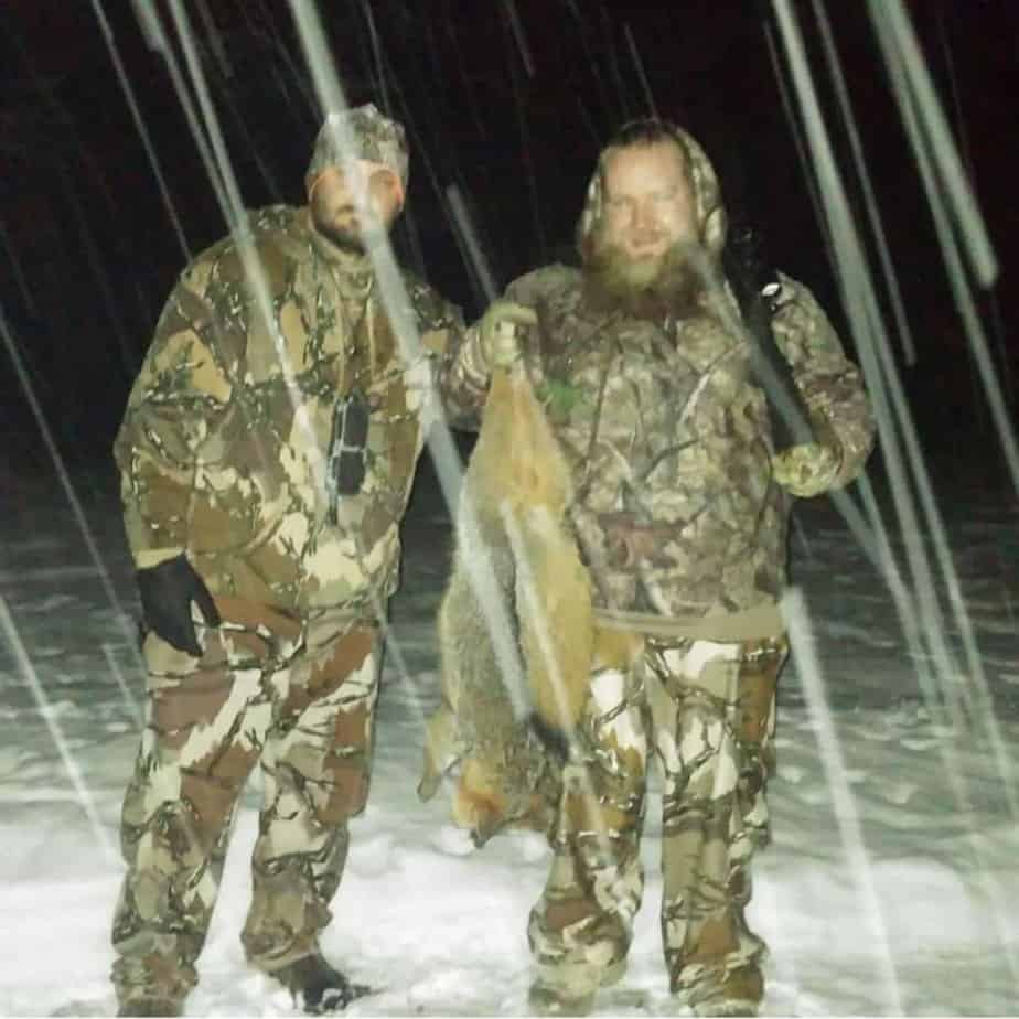 Hunting fox in snow