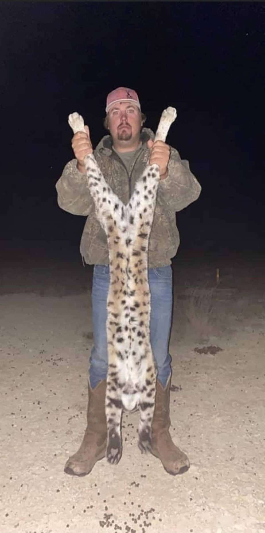 How to Hunt Bobcats 3 Vital Steps to Success