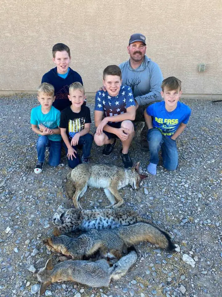 Bobcat hunting