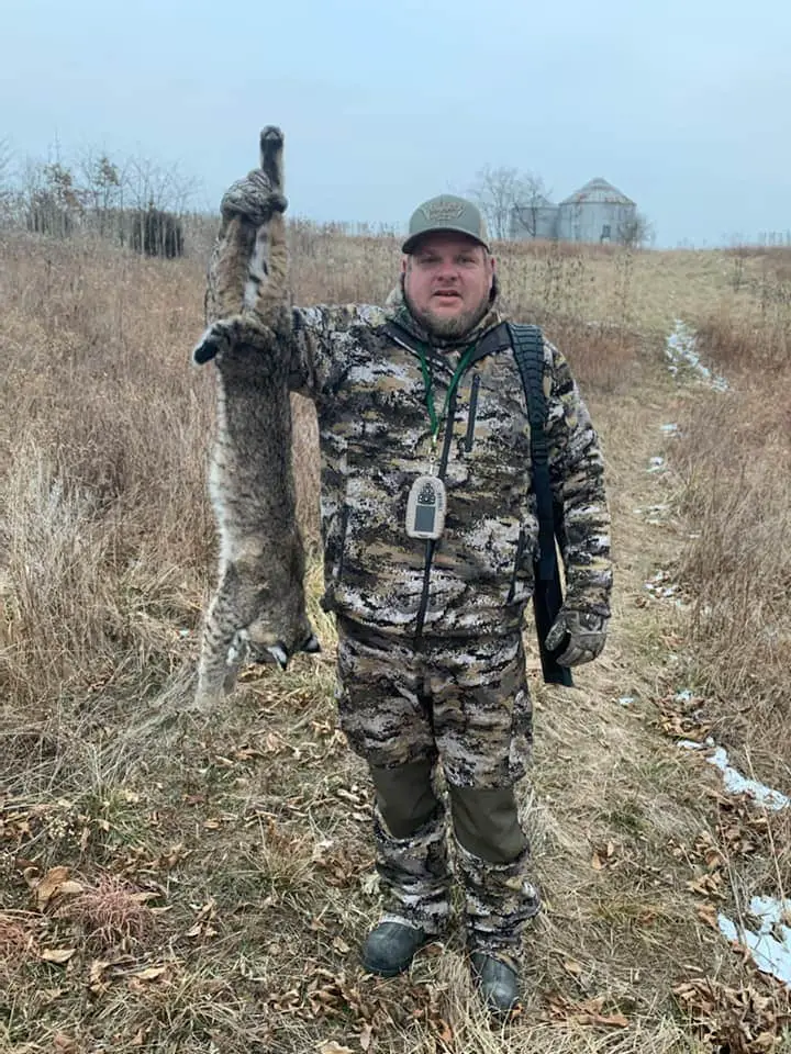 How to Hunt Bobcats: 3 Vital Steps to Success