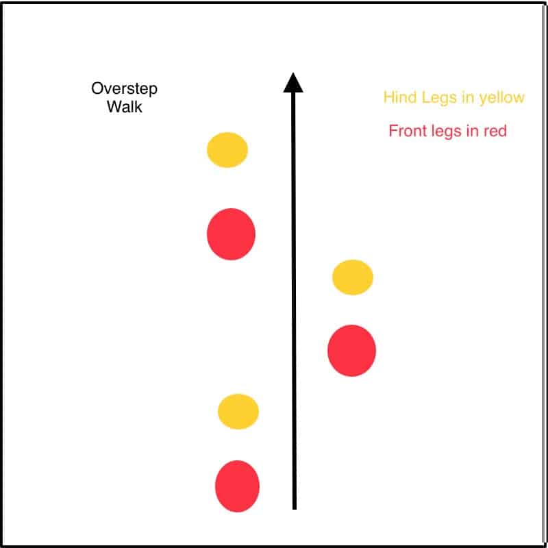 Predator Overstep walk