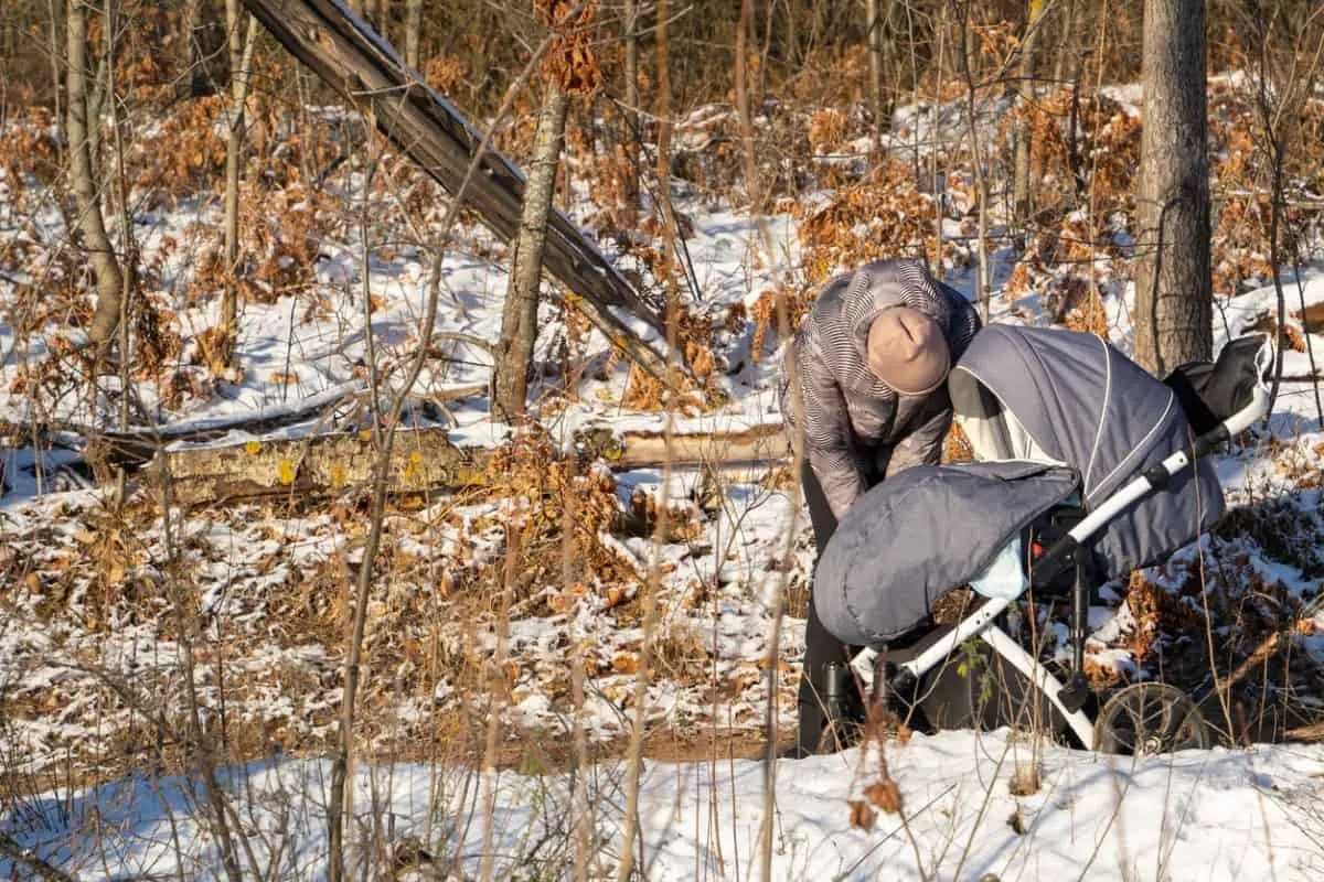 How to Hunt Eastern Coyotes on Public Land in NY