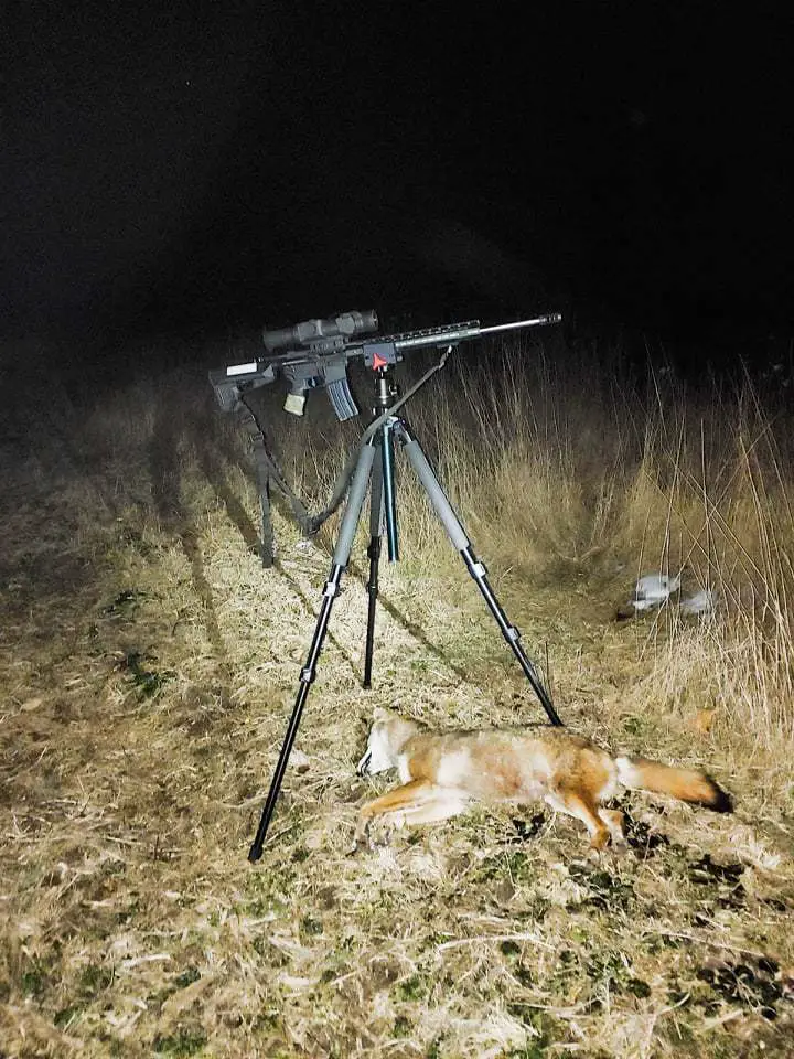 Coyote hunting in Idaho