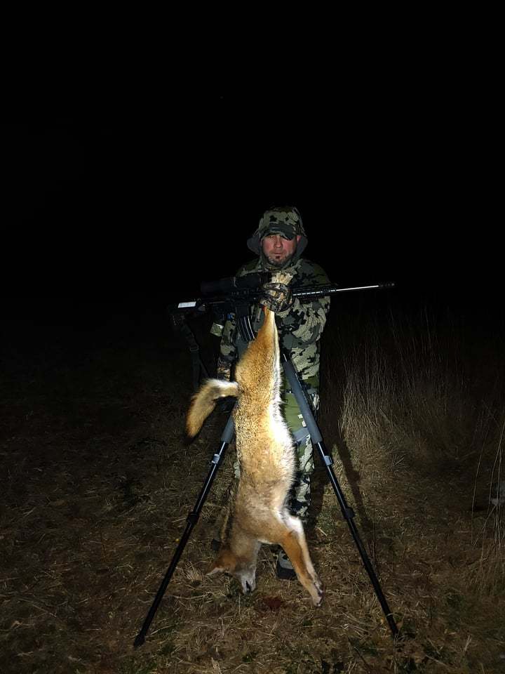 Coyote hunting in Idaho