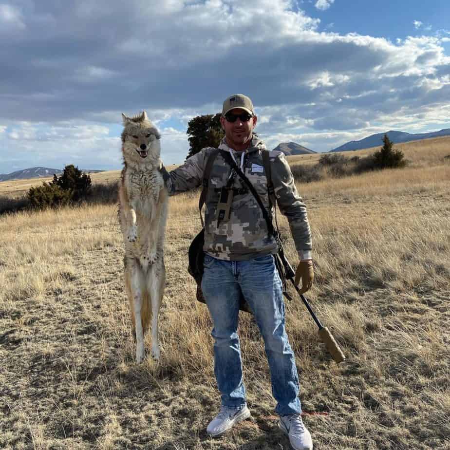 Coyote hunting in Montana