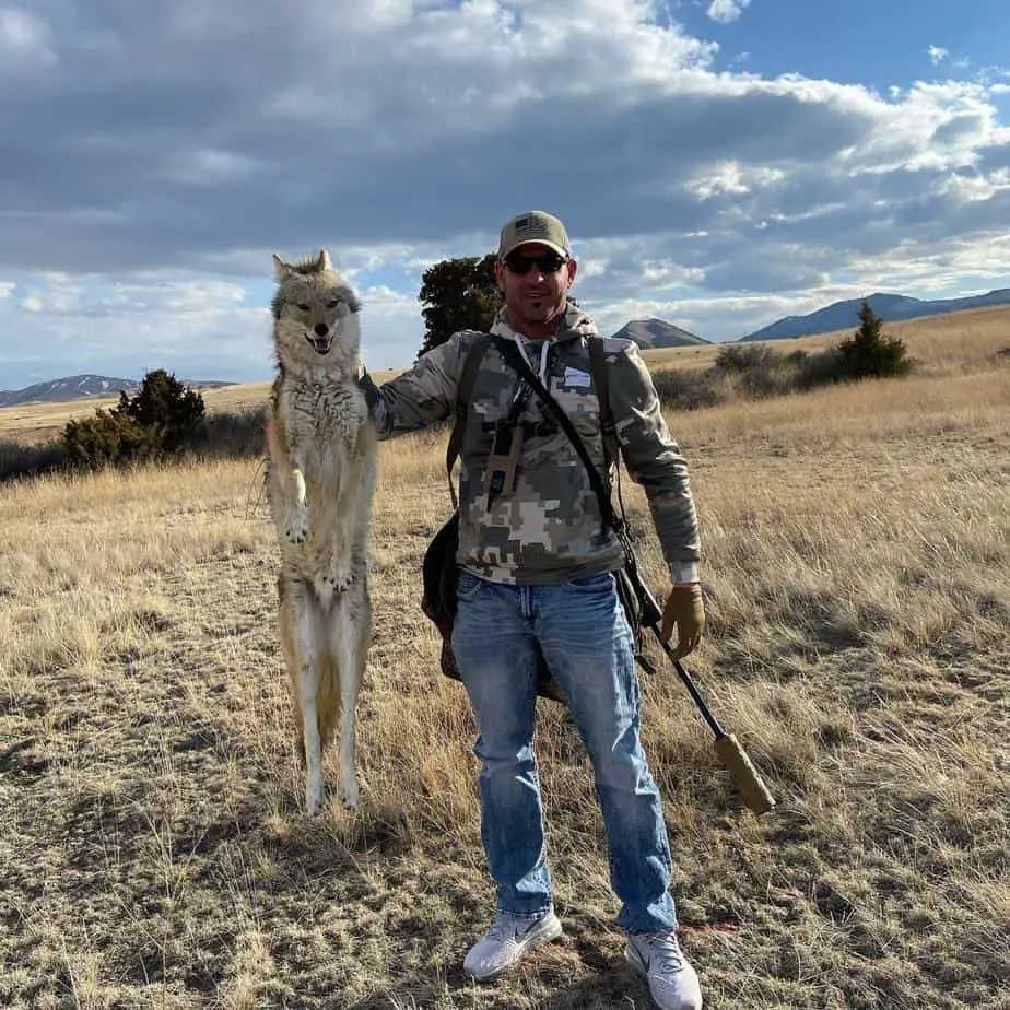 Rules And Regulations For Coyote Hunting In Montana