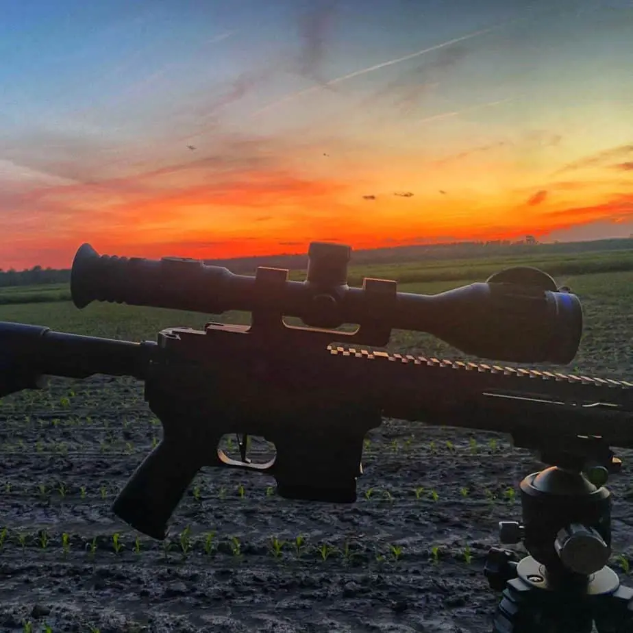 Rules and Regulations for Coyote Hunting in Texas