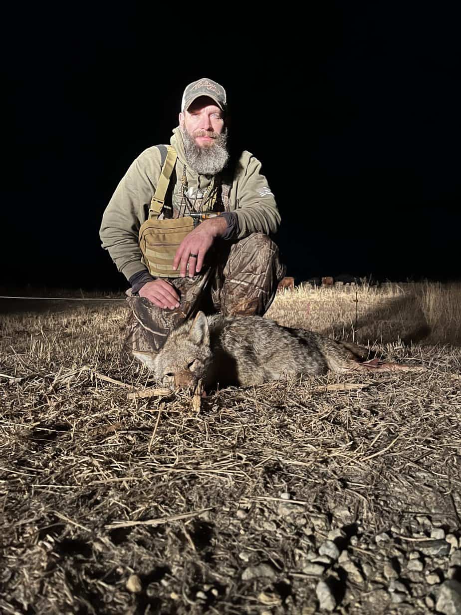 Hunting Coyotes With A Shotgun: Tips For The Beginner