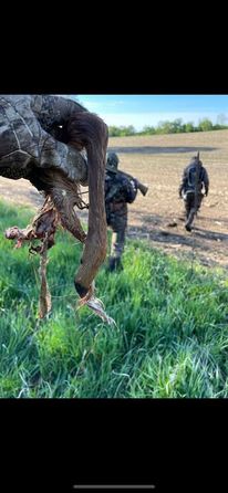 Deer survival and coyote hunting.