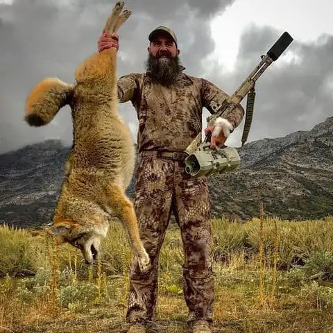 Hunting coyotes with a shotgun