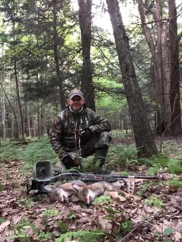 Hunting coyotes with a shotgun.