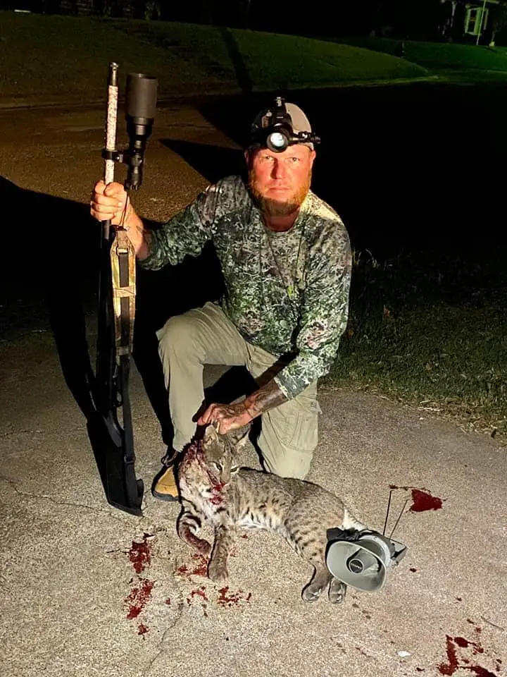 Hunting coyotes with a shotgun.