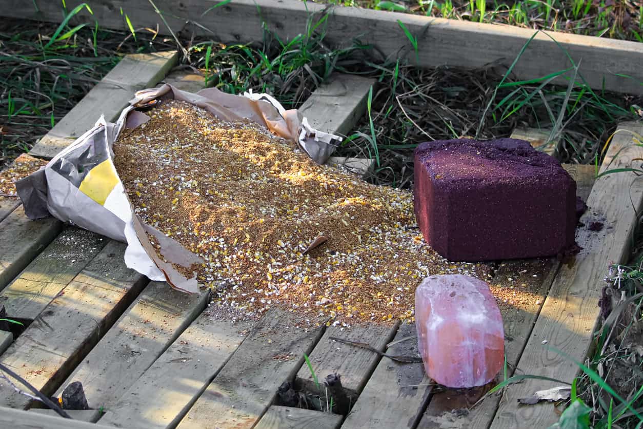 Deer Feed and Deer Hunting Baiting and Debating